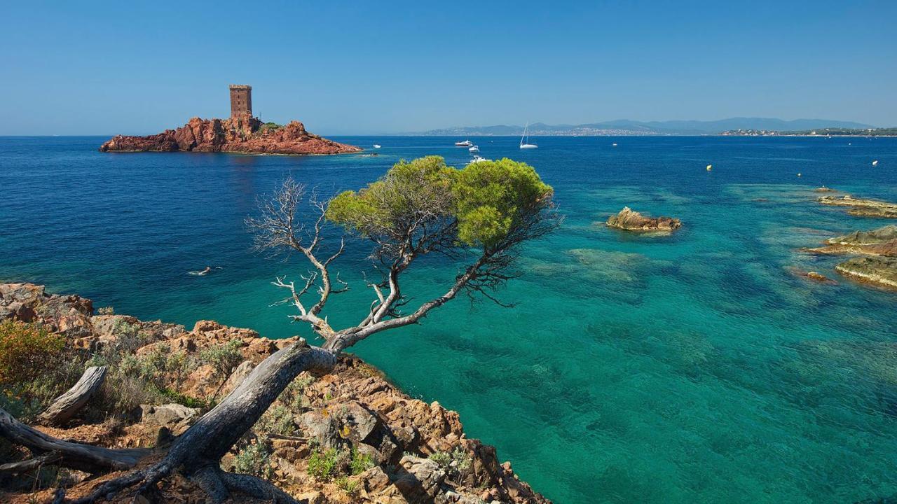 Port-Frejus, Le Consul, Appartement 2 Pieces Climatise, Terrasse & Parking Luaran gambar